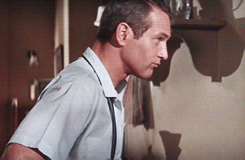 jacquesdemys:  Paul Newman makes coffee in Harper (1966) 