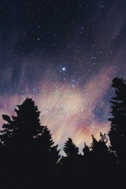 mstrkrftz:  Star Gazing at Neys Campground by Jim