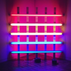 myhandsarealwaysdirty:  Artist Dan Flavin—from