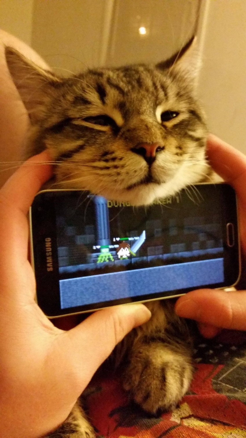 catasters:  &ldquo;You’re taking too long to die. My stomach is grumbling…&rdquo;