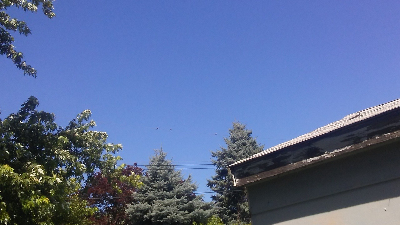 It&rsquo;s such a beautiful day here!