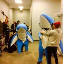 right shark in the streets left shark in