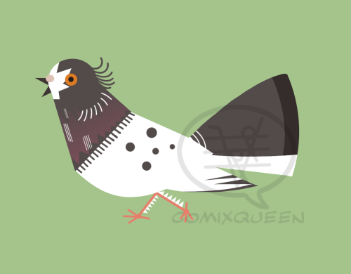  Today I was feeling motivated enough to actually go through with the idea of drawing my pigeon in C