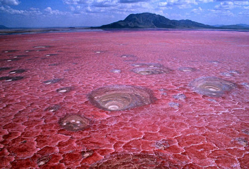 The pink and petrifying lake Natron in Tanzania