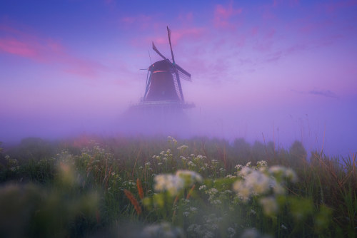 Magic Windmills… Albert Dros