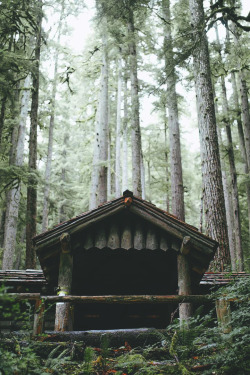 visualempire:    Dreamy   |   Dylan Furst   | VE