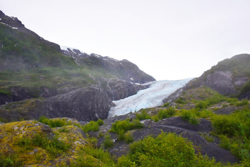 7.24.18 // exit glacier // AK