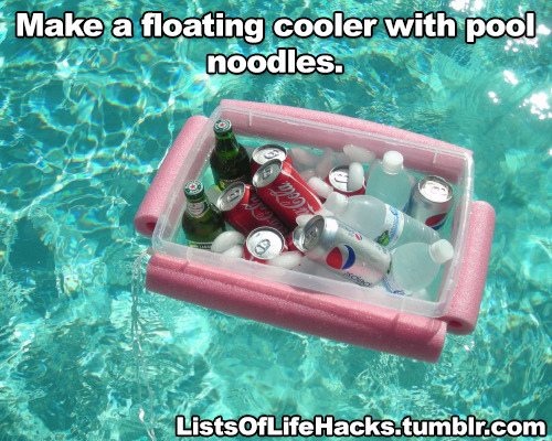russalex: listsoflifehacks:  Pool Noodle Life Hacks  This post brought to you by