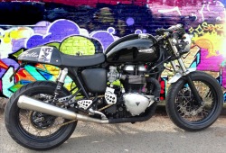 thruxtonsonly:  On the 8th day he created the Thruxton -  and a mighty rumble was heard throughout the lands. Elephants were silenced, Lions cowered, Alligators hid themselves and the sky’s were emptied of all flying  beast’s…….. fore nothing