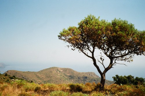 Catalunya, juillet 2020 by Marine Beccarelli