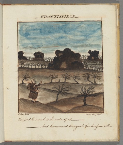 Story, Isaac, 1774-1803. The Hermit: manuscript, ca. 1800.MS Am 549Houghton Library, Harvard Univers