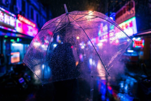 Rainy City Nights on Tumblr: Image tagged with transparent umbrella, neon  sign, glow