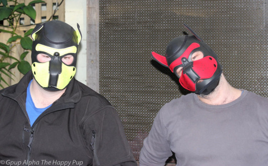 Few more pics of @secapup and I in our neoprene dog masks… Remember to support those who support our community Ping: @mrsleatherYou can check out the Neoprene Puppy Masks Here -> http://glink.me/neoprenehood