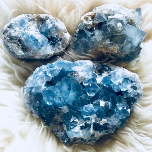 starborn-witch: My Celestine specimens ♡