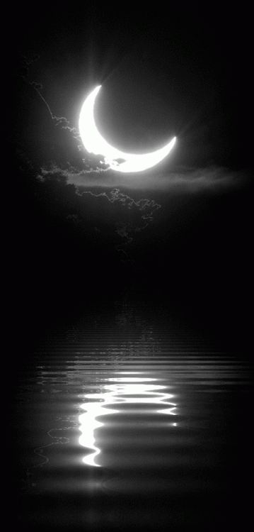 Everyone is a moon, and has a dark side which never shows to anybody.