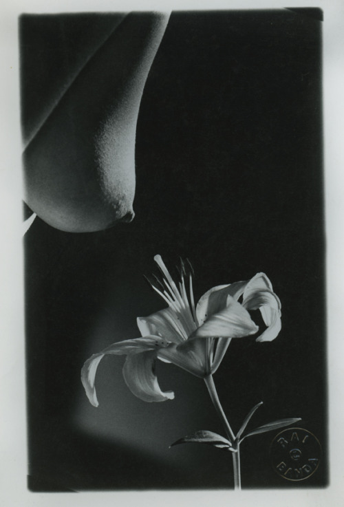 raibandaphotography:you are my flower 1993art direction martin pisani