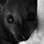 ilovebatz05