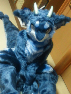 kawaiifur:  Another suit by Huu.  oHHHh cute 