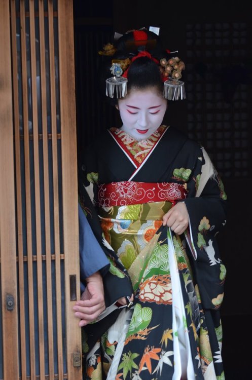missmyloko: May 14th, 2019: Congratulations to Asako (亜佐子) of Nishimura (西村) in Gion Kobu on the occ