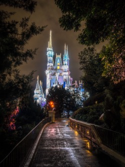 Disney World