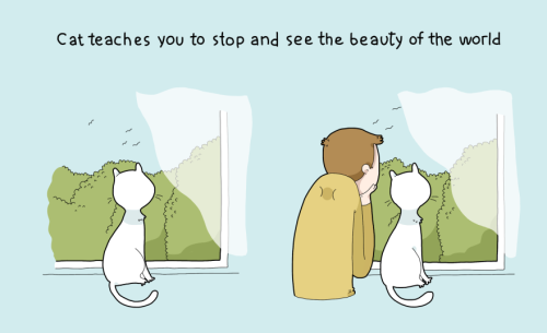 boredpanda:    10 Benefits Of Having A Cat  