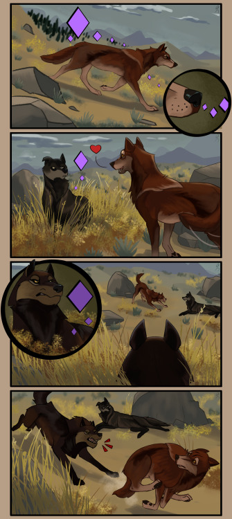 A little WolfQuest comic featuring adult Rowan, based on how he met his mate Dolly, in the game. One