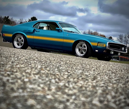 utwo: 1969 Shelby GT500’s © respecyourelders 