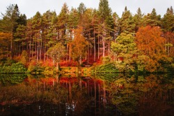 dpcphotography:Colourful Reflections