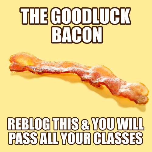 teachertwilightclassroom:  imnomidget:dennys:teenygiraffe: hetastucklovechild:  dennys:  good luck, crispies  OKAY IM GOING TO SAY SOME SHIT ABOUT THIS RIGHT NOW. IT WORKED. IT FUCKING WORKED I WAS ON TUMBLR AND THOUGH ‘well fuck it might as well i