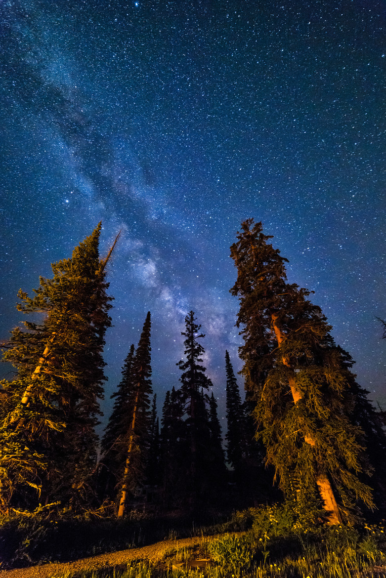 llbwwb:   Cedar Breaks Milky Way by Argo Shots 