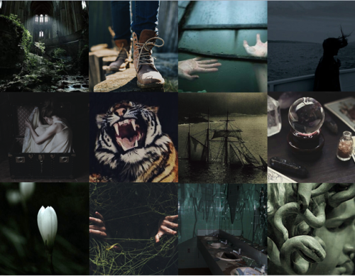 Slytherin Taurus Thunderbird Tiger Patronus aesthetic for anon. (Also I know this is supposed to be 