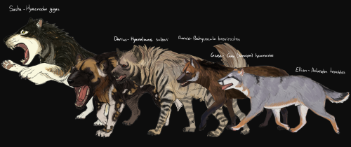 WEREWOLF AU IS SO FUCKING BACK