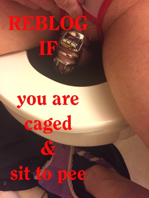 slavescott1961: tonitheblonde:  promommy:  promommy: REBLOG if you are currently caged and must sit 