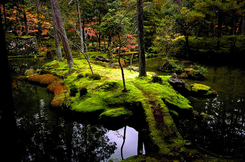 yuikki:  Moss Island by tez guitar on Flickr. 
