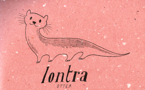 italianformygirlfriend: 434: Lontra