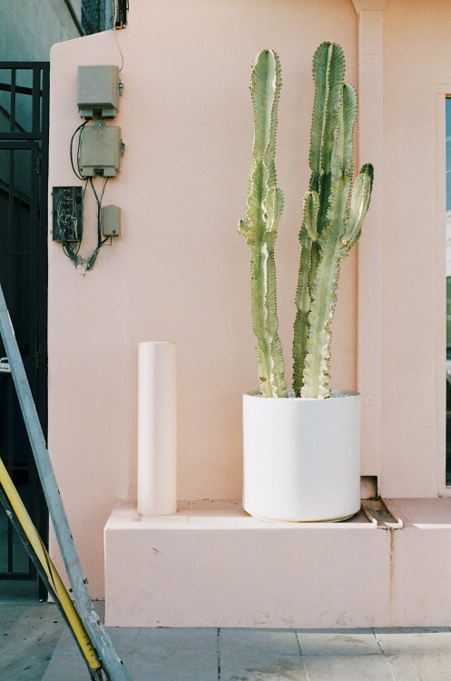 detoxsify:  indie // boho  follow for more similar posts ;)