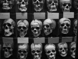 fatalitum:  The Mütter MuseumThis medical is museum located in the Center City area of Philadelphia, Pennsylvania. It contains a collection of medical oddities, anatomical and pathological specimens, wax models, and antique medical equipment. The museum