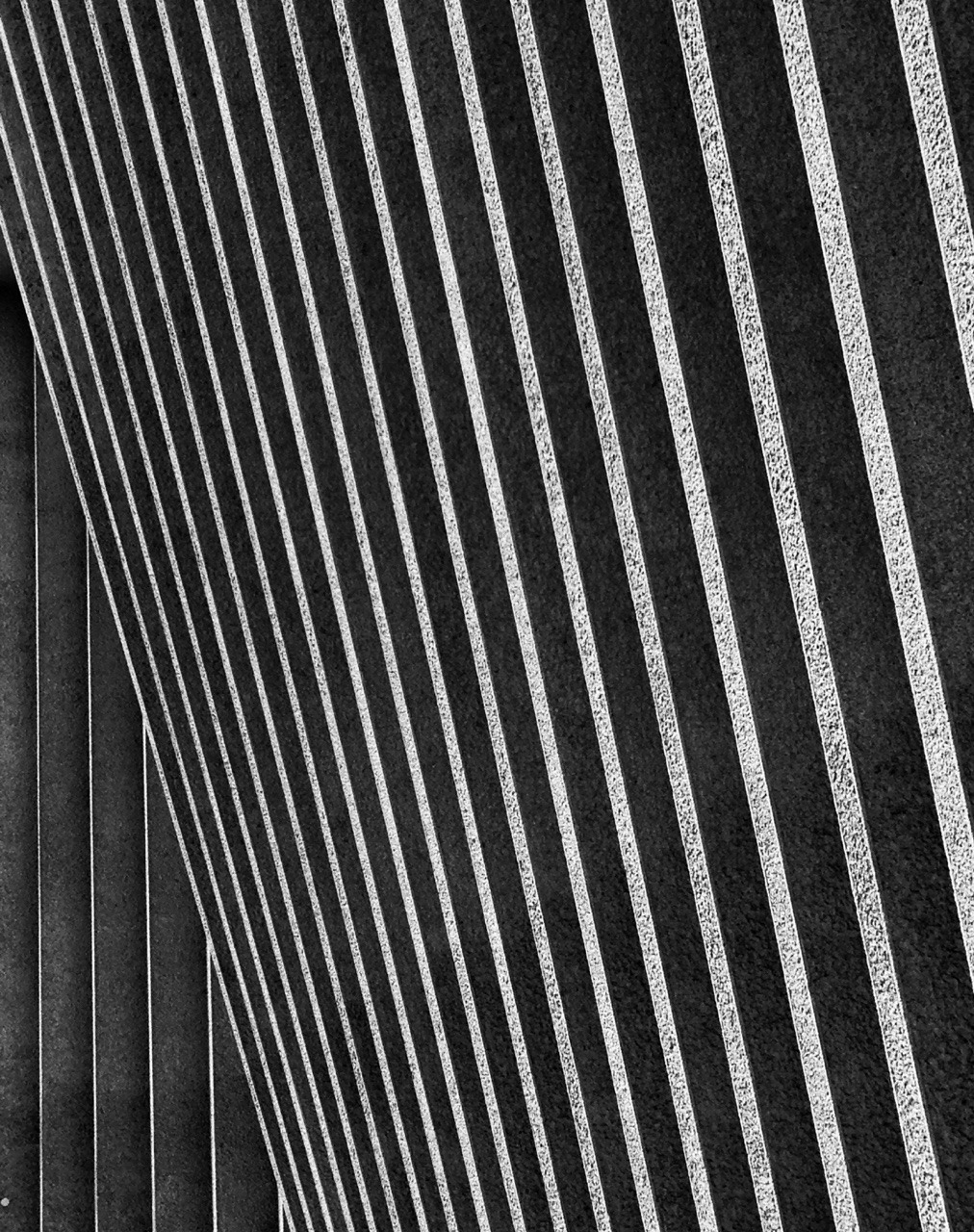 alittletasteofmint:  All about lines