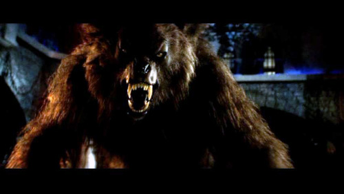 This is from “Cursed” (2005) #WerewolfWednesday. The poorer quality photos show some of 