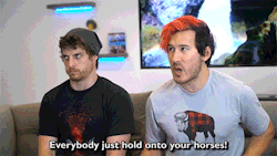 dogiplier:  quality jokes guaranteed here on the Markiplier channel join today 