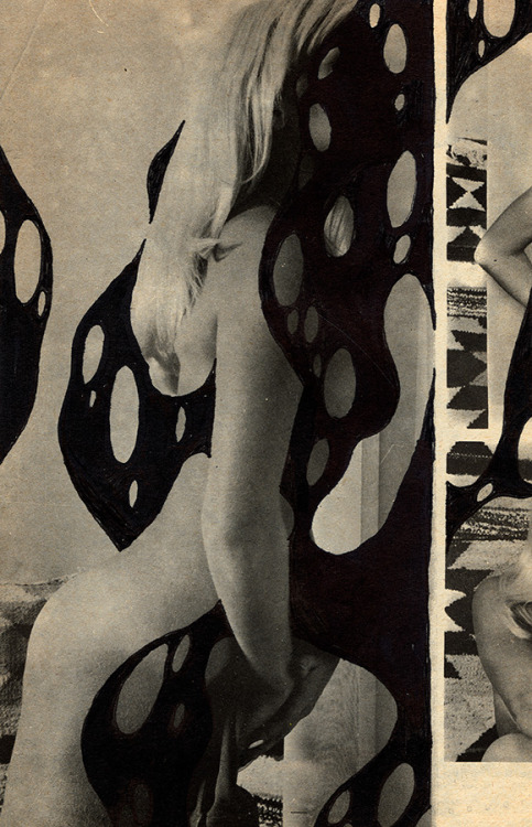 sebjartworks:  Pflanzenfreunde Drawing on photo (old magazine) / © seb jarnot    