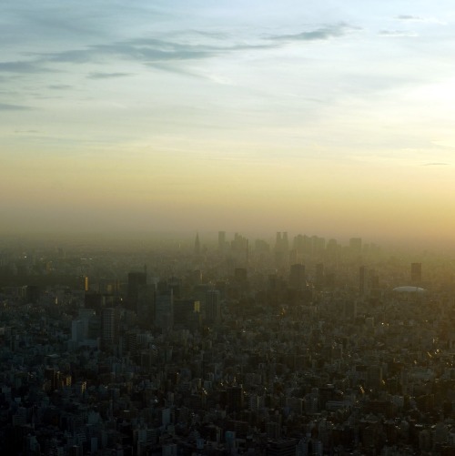 Tokyo 東京 in perspective. With 634 meter, Tokyo skytree 東京スカイツリー is the world&rsquo;s tallest tow