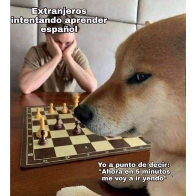 Me_IRL (x)