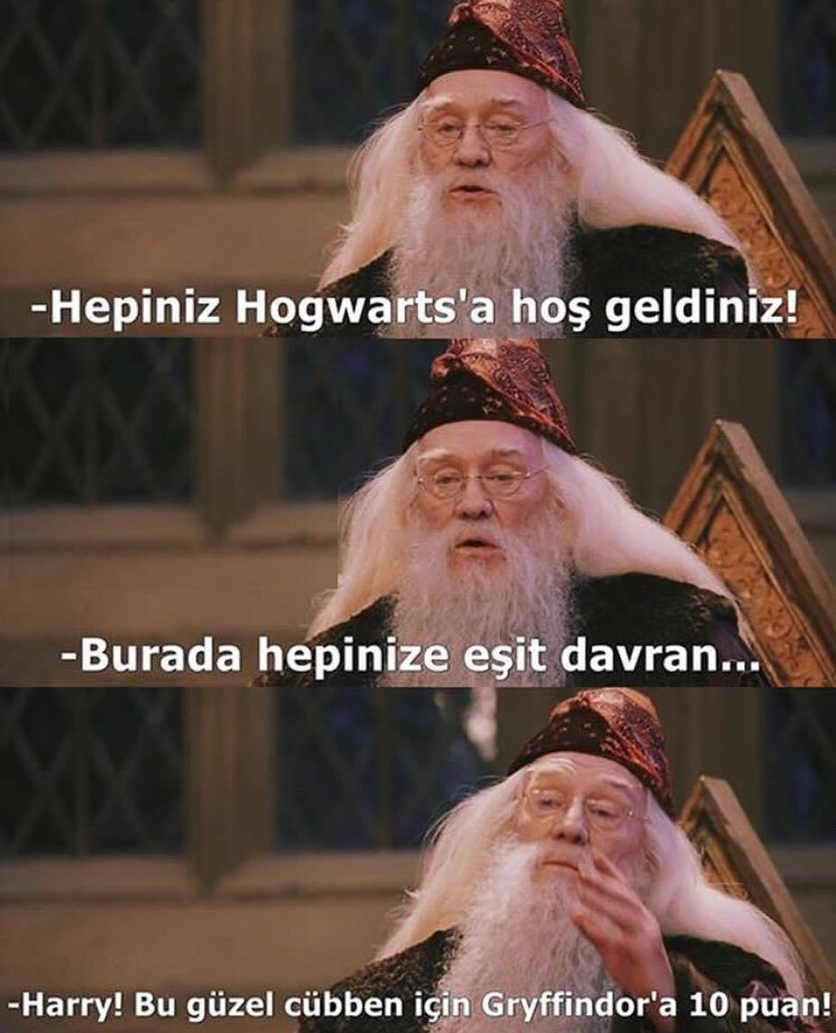 - Hepiniz Hogwarts'a...