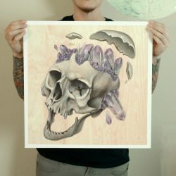 skullgarden: hey everyone! I just launched a Kickstarter to fund the purchase and operation of a large scale giclee printer so I can offer larger archival giclee prints and prints on wood.  You can reblog this post as many times as you like before the