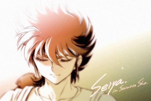 saintseiya-zone: December 1st is Seiya’s birthday and Shingo Araki’s death anniversary.I’m aware tha