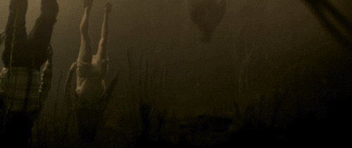  Borgman (2013) 