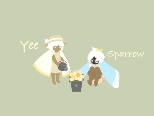 Yees Summer Costume