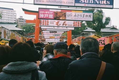 r-papa:  fortune telling