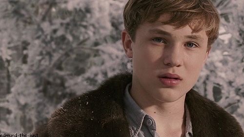 The Chronicles of Narnia - The Final War (Peter Pevensie Fanfiction) 